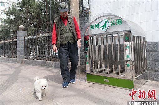 山西太原建立宠物公厕遭到舆论讽刺：人没管好还管狗