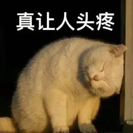 二手烟对猫咪有害吗