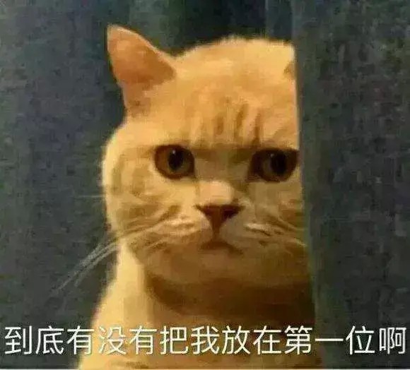 二手烟对猫咪有害吗