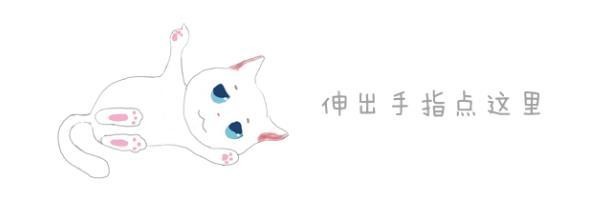 猫咪坚持十年拥抱主人，风雨无阻等待主人回家，猫咪：再抱一下！